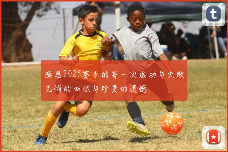 感恩2025赛季的每一次成功与失败无悔的回忆与珍贵的遗憾