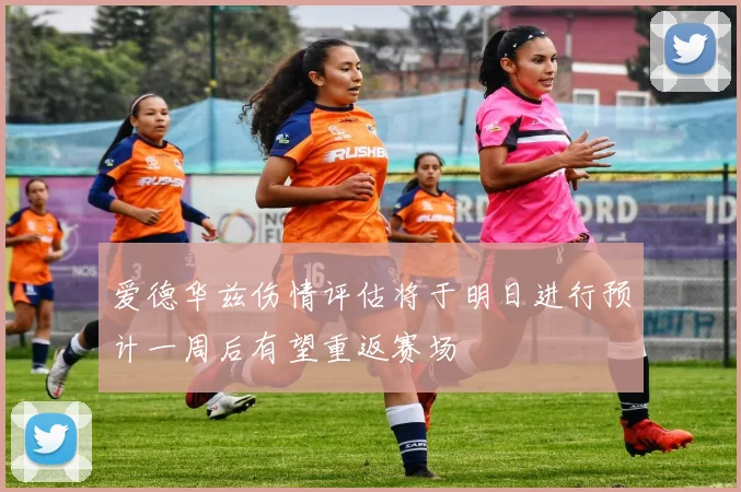 爱德华兹伤情评估将于明日进行预计一周后有望重返赛场