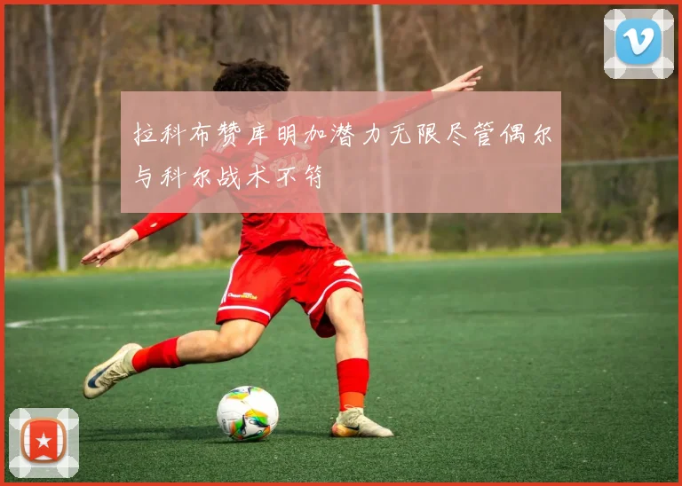 拉科布赞库明加潜力无限尽管偶尔与科尔战术不符