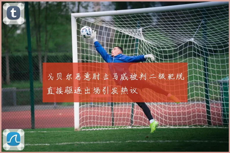戈贝尔恶意肘击马威被判二级犯规直接驱逐出场引发热议