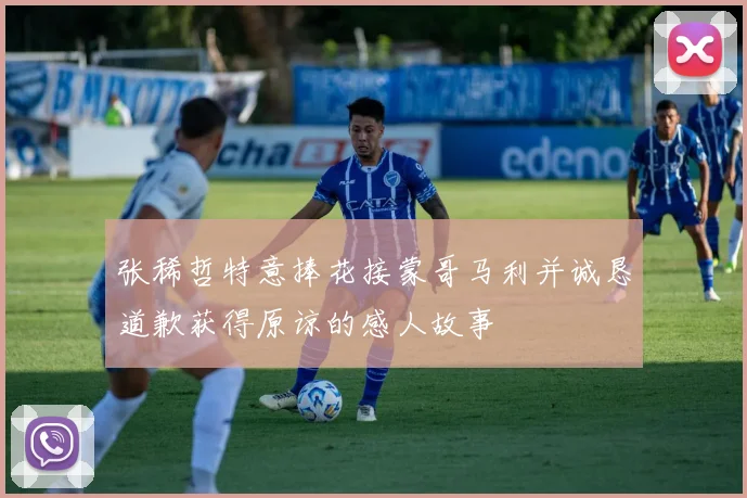 张稀哲特意捧花接蒙哥马利并诚恳道歉获得原谅的感人故事