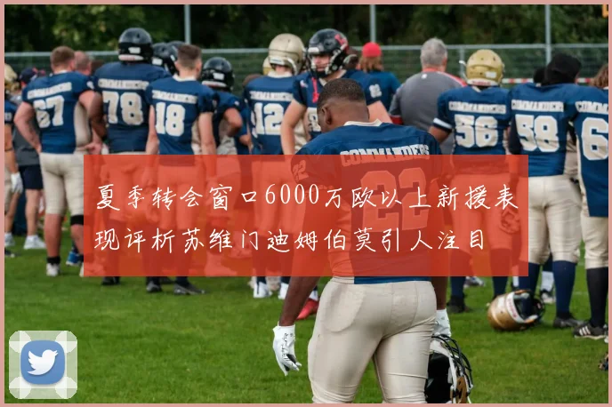 夏季转会窗口6000万欧以上新援表现评析苏维门迪姆伯莫引人注目